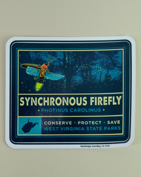 West Virginia DNR Night Sky Fireflies