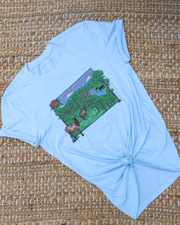 Chief Logan State Park Vintage T-shirt