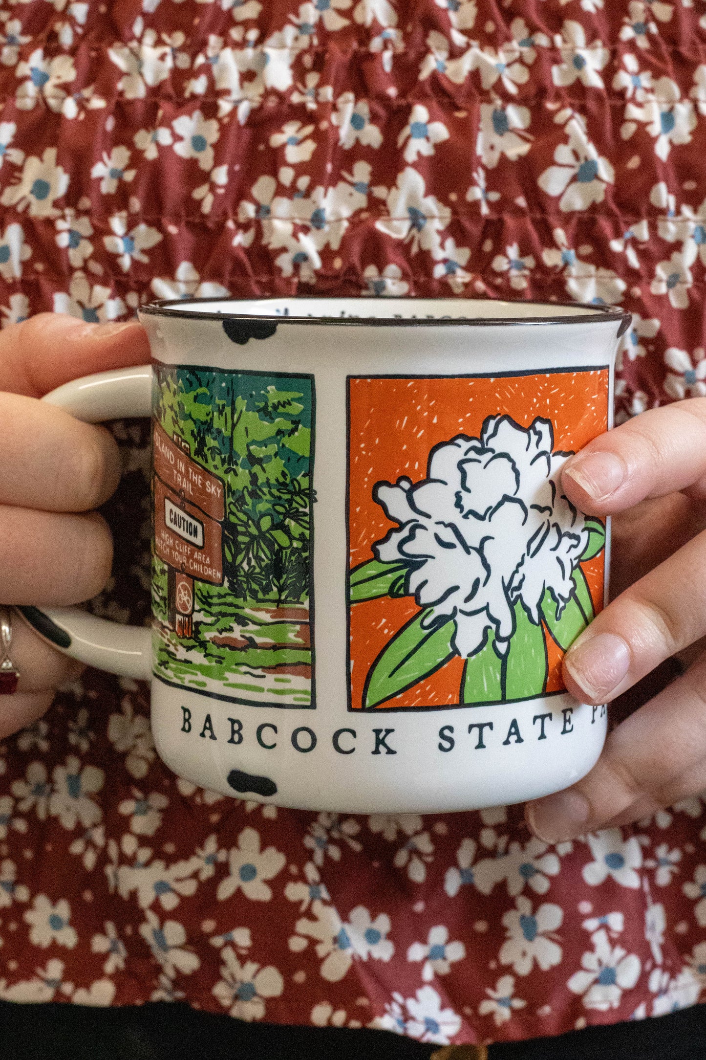 Babcock State Park Vintage Camping Mug