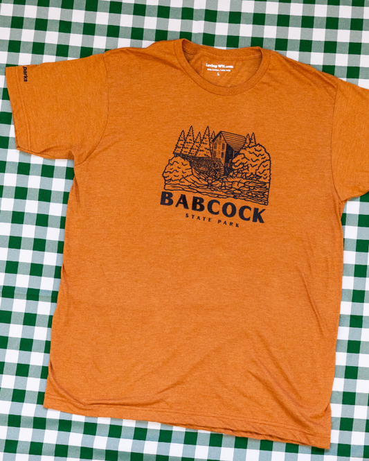 Loving WV Babcock State Park T-shirt